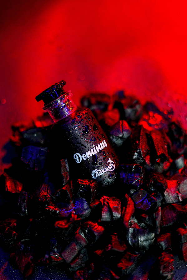 Dominus - Image 4